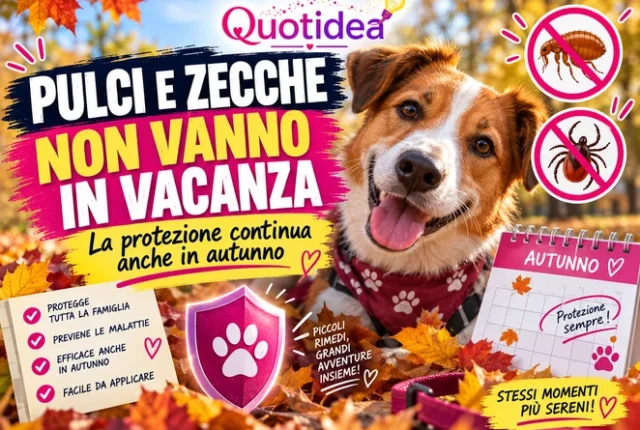 article-2324 - Pulci e zecche non vanno in vacanza in autunno